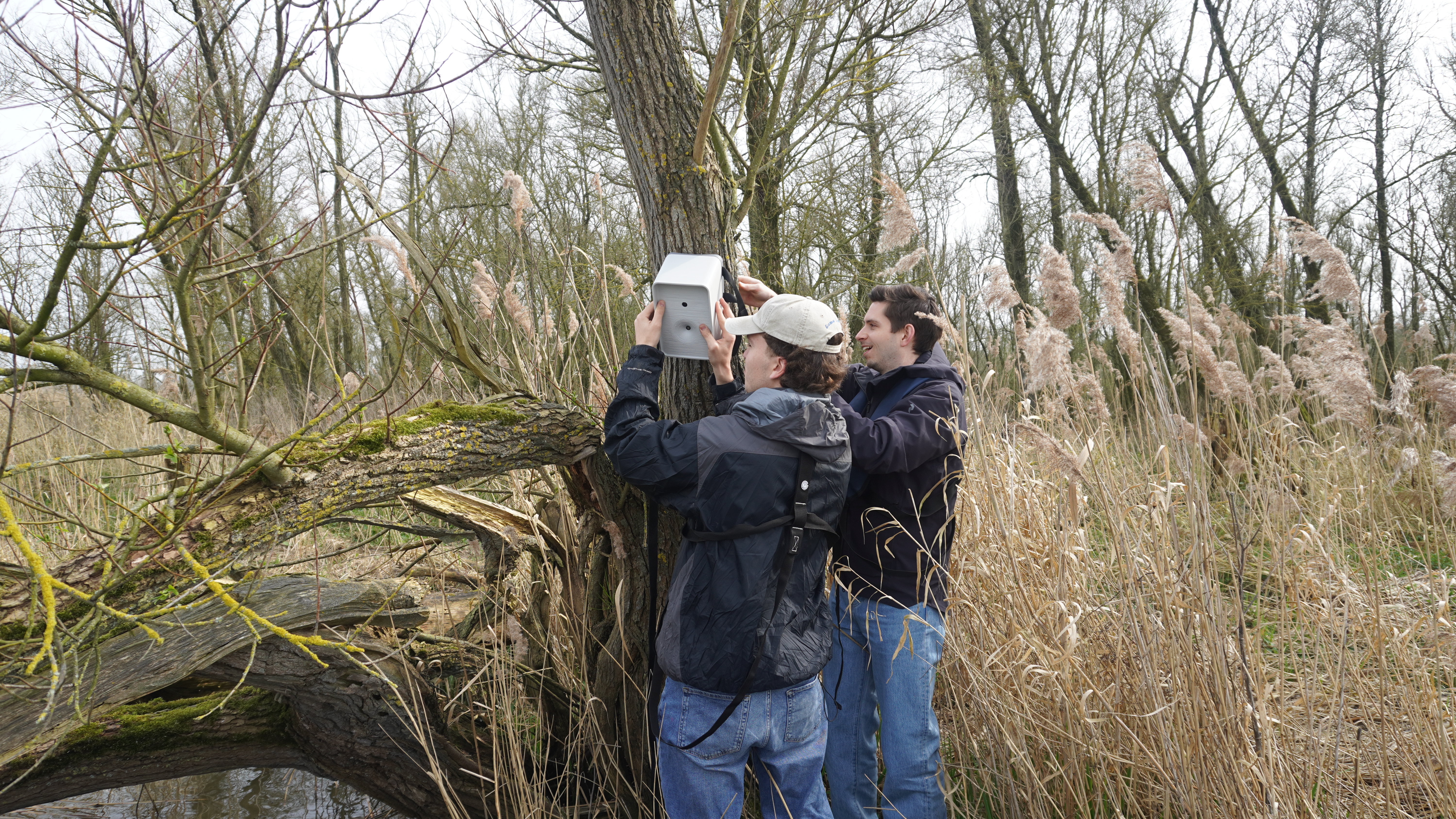 Deployment site evaluation in the field