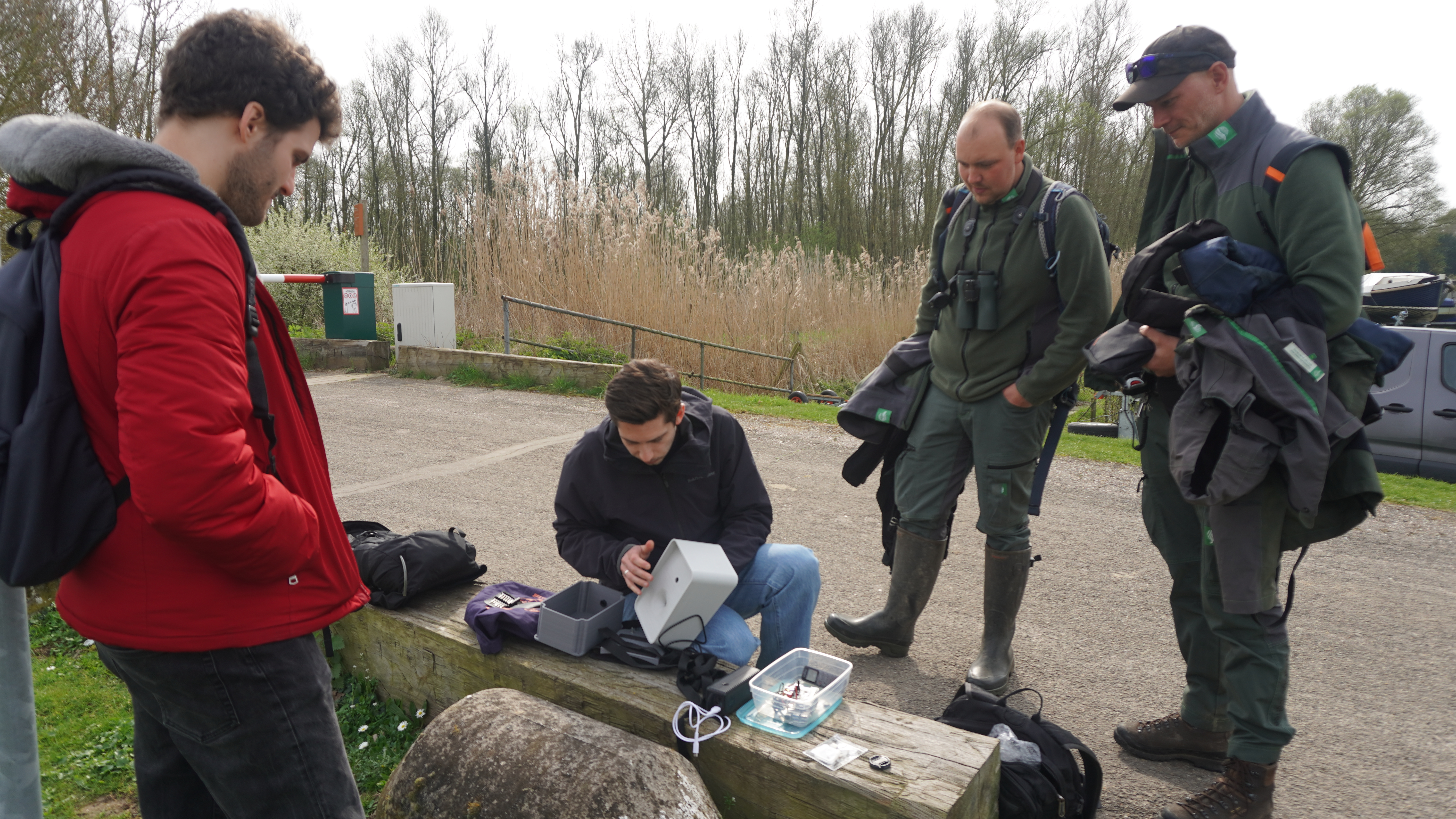 Biesbosch protected delta ecosystem